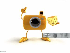 yellow camera holding cheese